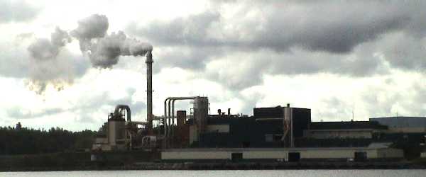 A view of Eagle Forest Products