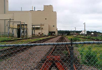 A view of the yard